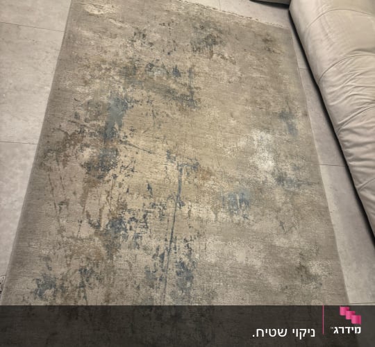 שטיח עם כתמים על רצפה ליד ספות בהירות